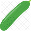 Bottle Gourd Vegetable Healthy Icon