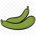Bottle Gourd  Icon