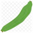 Bottle Gourd Melon Icon