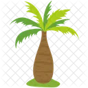 Bottle palm on the hill  Icon