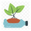 Bottle Plant  Icon