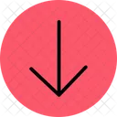 Bottom Arrow  Icon