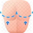 Bottom Arrow Direction Icon