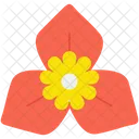 Bougainvillea  Icon