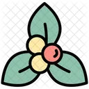 Bougainvillea Blossom Flower Icon