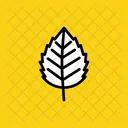 Bouleau Nature Feuille Icon