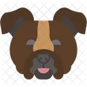 Bouledogue Muscle Mammifere Icône
