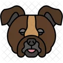 Bouledogue Muscle Mammifere Icône