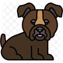 Bouledogue Muscle Mammifere Icône