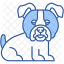 Bouledogue Muscle Mammifere Icône