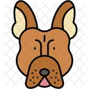 Bouledogue Francais Compagnon Mammifere Icône