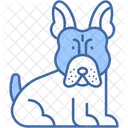 Bouledogue Francais Compagnon Mammifere Icône
