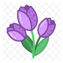 Bouquet Of Tulips Flower Flowers Icon