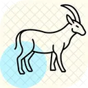 Ibex Icône