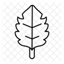  Icône