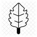  Icône