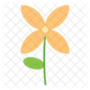 Nature Flower Floral Icon