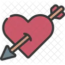 Bow Arrow  Icon