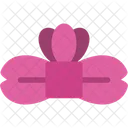 Bow  Icon
