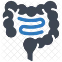 Bowel Organ  Icon