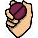 Bowler Hand Ball Bowler Icon