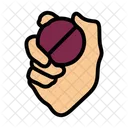 Bowler Ball Game Icon