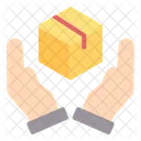 Box Hands Logistic Icon