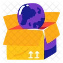 Box Network Globe Box Icon