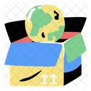 Box Network Globe Box Icon