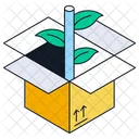 Box Plant  Icon