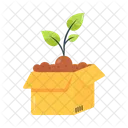 Box Plant  Icon