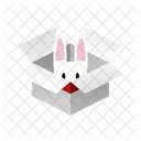 Box rabbit  Icon