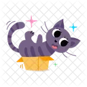 Box  Icon