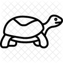 Box turtle  Icon