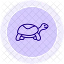 Box turtle  Icon
