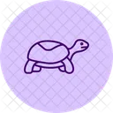 ハコガメ  アイコン