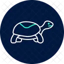 ハコガメ  アイコン
