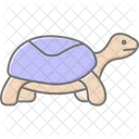 Box turtle  Icon