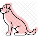 Boxer Perro Mascota Icono