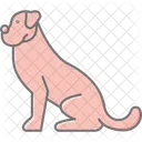 Boxer Perro Mascota Icono