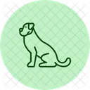 Boxer Perro Mascota Icono