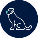 Boxer Perro Mascota Icono