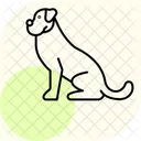 Boxer Perro Mascota Icono