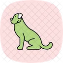 Boxer Perro Mascota Icono