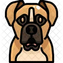 Boxer Perro Cachorro Icon