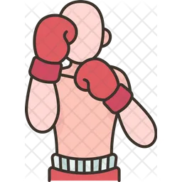 Boxer  Ícone