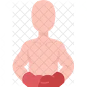 Boxer  Icono