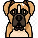 Boxer Dog Puppy Icon