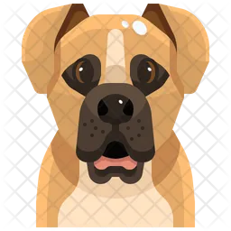 Boxer  Icon