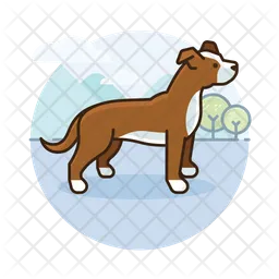 Boxer Dog  Icon